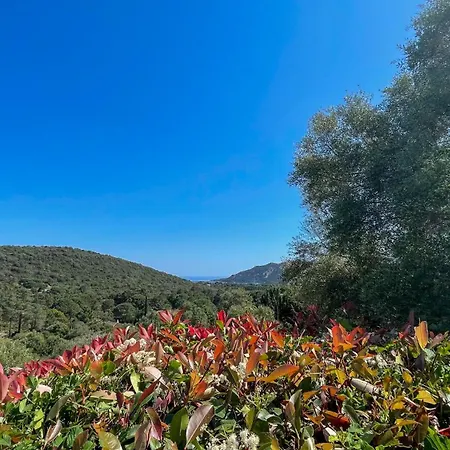 Belle Bergerie Avec Piscine Chauffee Surplombant La Baie De Santa Giulia Villa *